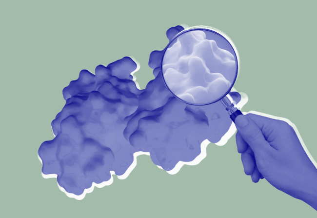 Enzyme Search, Discovery, and Engineering: What’s the Difference?