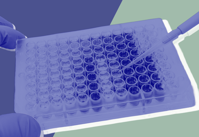 Why are your Enzyme Kits Not Working?